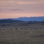 Run Slow to Race Fast – how to pace your long runs