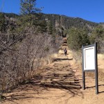 How and Why to Run Hills